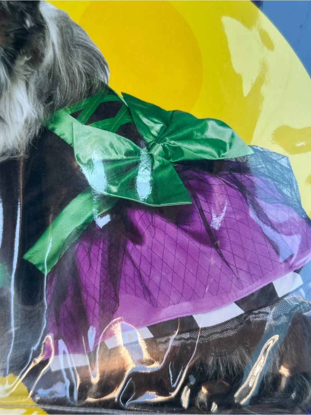 Paw Prints Fun World Doggie Witch Pet Costume Purple Dress Hat Size Large